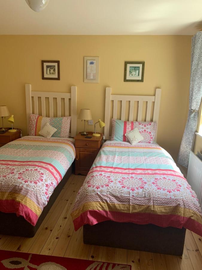 Teac Seain Bar & Bnb Annascaul Экстерьер фото
